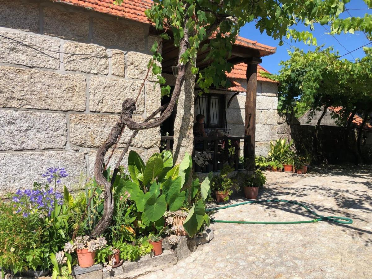 Casa Campo Villa Amarante Kültér fotó